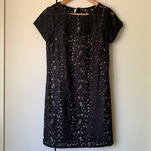 Lace Dress NWOT Loft